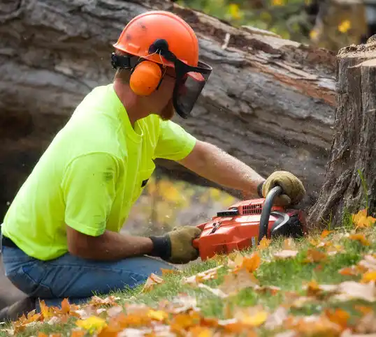 tree services Cousins Island